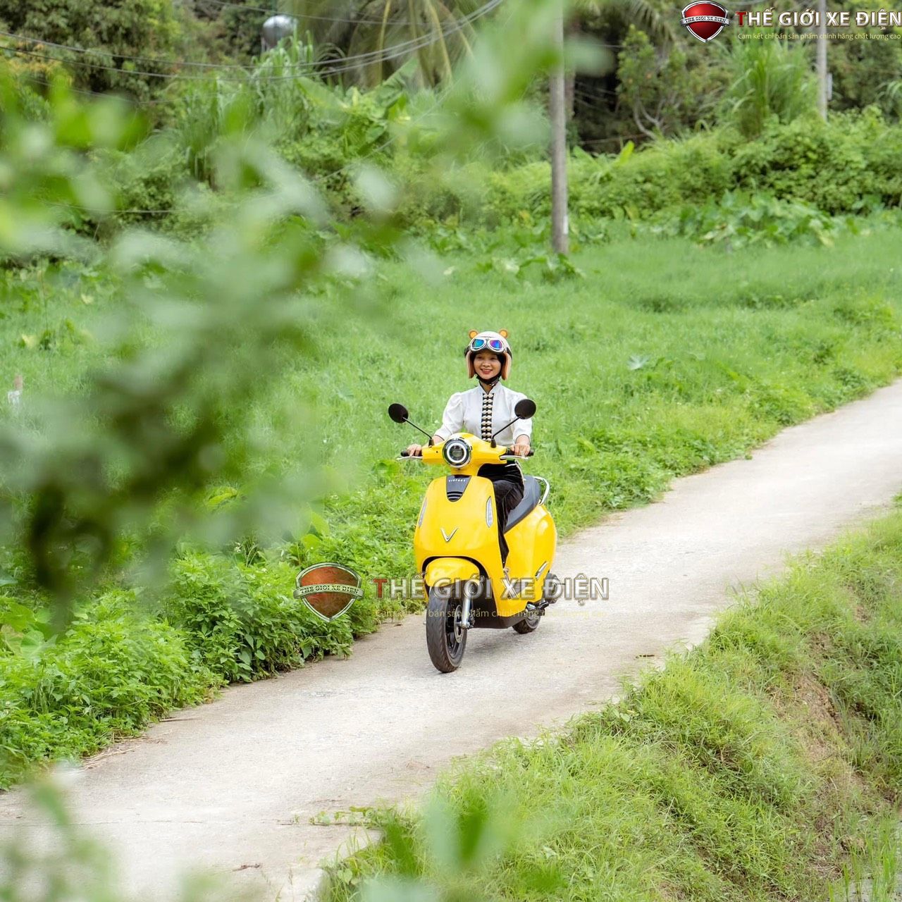 tốc độ và hiệu suất xe máy điện vinfast evo 200 lite